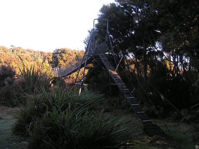 Steward Island 011.jpg